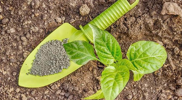 3a9ac624-a38a-420a-ac50-847aa3831938.jpg_1920xaf